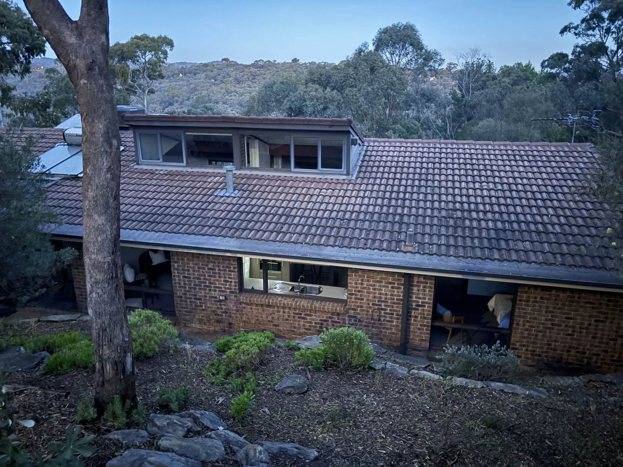 Brick home among gum trees with large clean windows