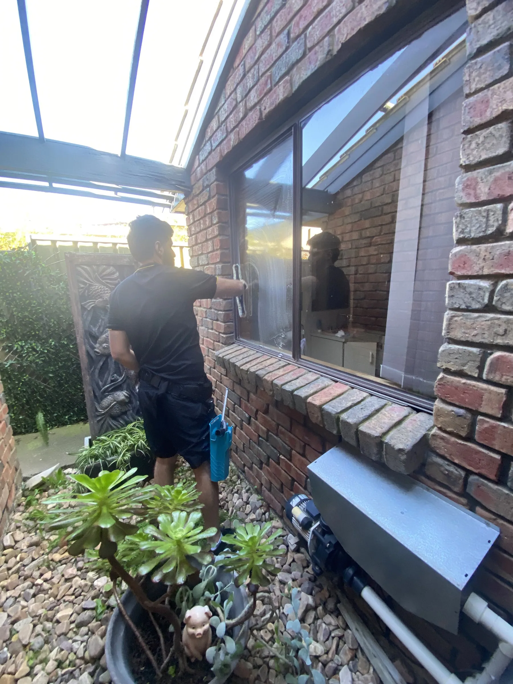 Ben cleaning windows under a pergola, succulents in the foreground